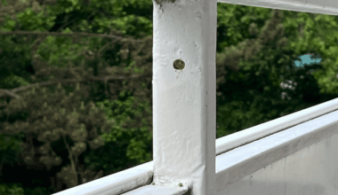 Warum verschließen "unsere Balkon-Wespen" ihr Nest?