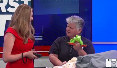 Keep Northern Illinois Beautiful holds clothing drive to protect the environment