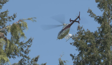 Search and rescue team has gear stolen after finding missing 7-year-old girl in B.C. - CTV News