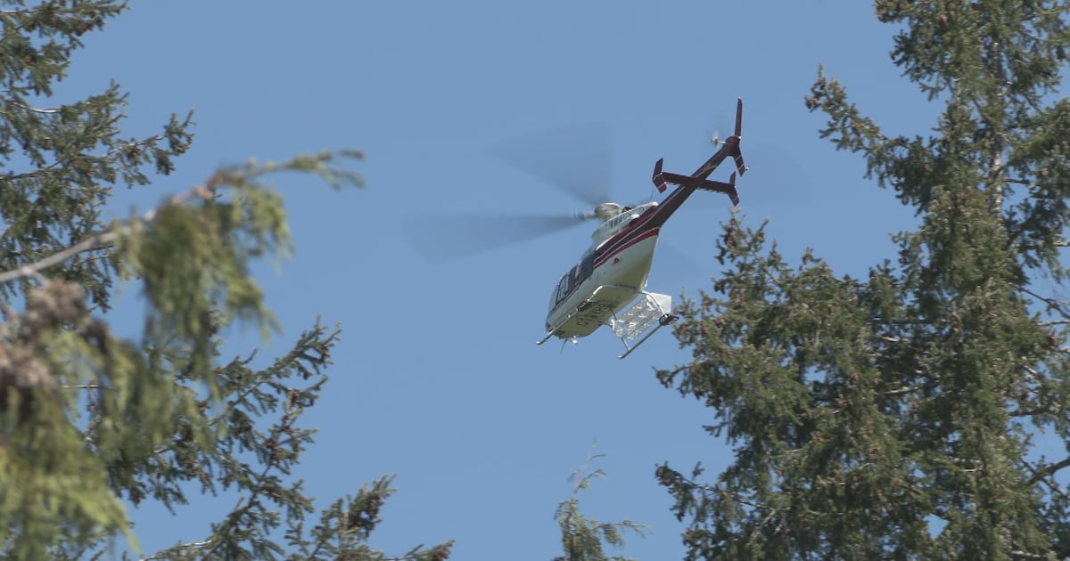 Search and rescue team has gear stolen after finding missing 7-year-old girl in B.C. - CTV News