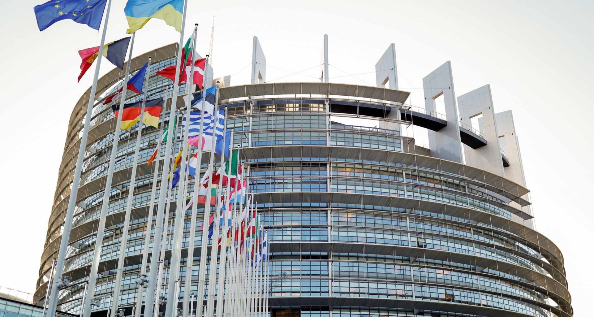 EU must not swap sustainability rules for short-sighted populist measures
