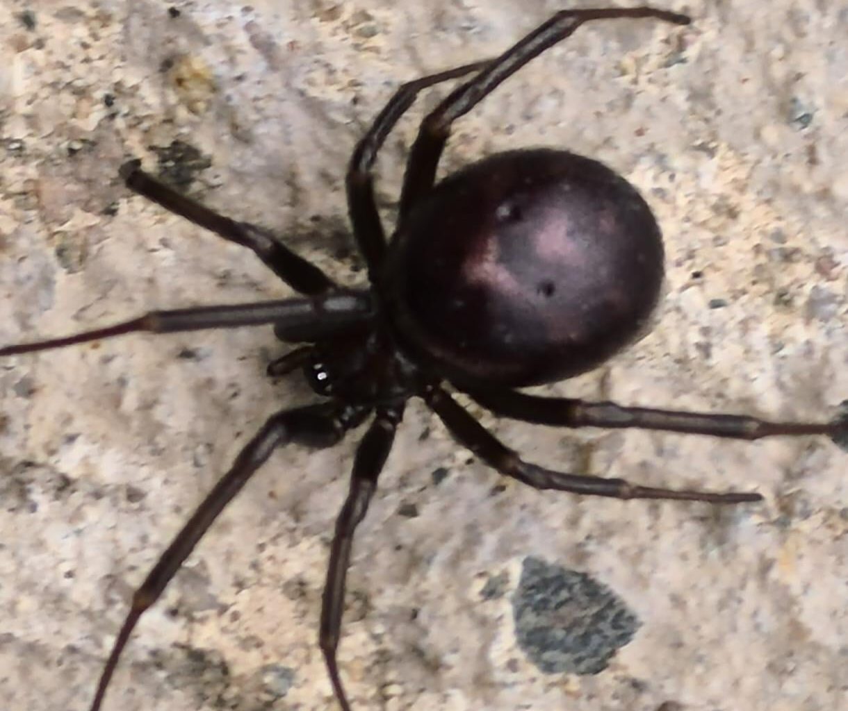 Anyone identify this?