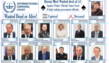 Suggestions for cards?