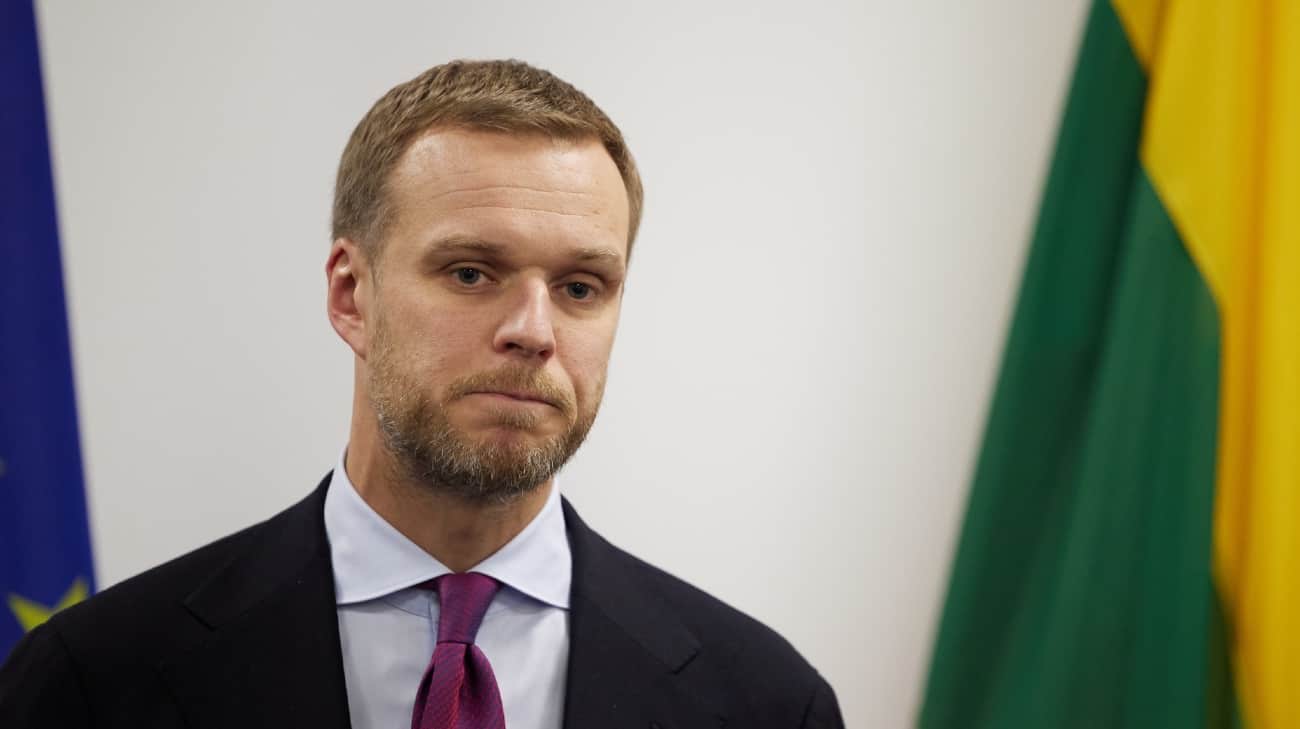 Lithuania's former foreign minister mocks delay in delivery of Taurus missiles to Ukraine and anti-Russian sanction
