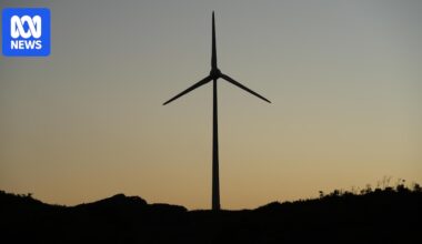 Denmark's co-op wind farm to double output as energy projects gather steam