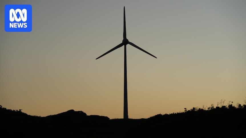 Denmark's co-op wind farm to double output as energy projects gather steam