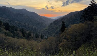 Top cities, dates to save