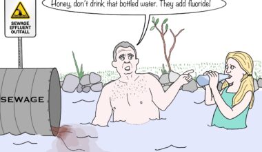 Drain the swamp…