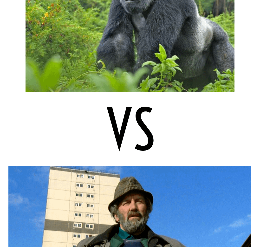 The Real Question that needs to be answered