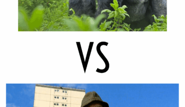 The Real Question that needs to be answered