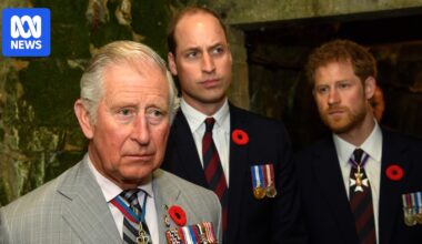 Prince Harry, King Charles and the grief dilemma tearing apart the British royal family