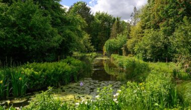 Perfect weather for an afternoon stroll around Gooderstone Water Gardens