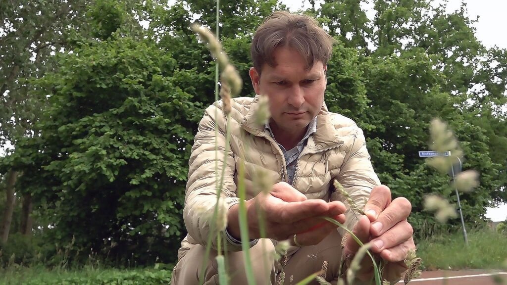Meer sterfgevallen verwacht door mix van hitte, pollen en vieze lucht