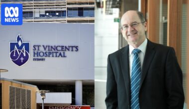 St Vincent's Hospital review finds cancer genetics specialist Allan Spigelman's errors placed patients at 'potential risk'