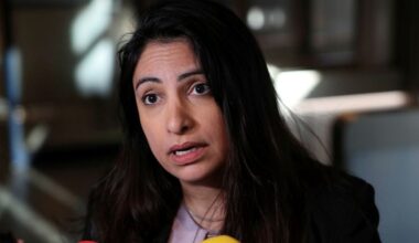 Dadgostar om petade V-toppen Lorena Delgado Varas: ”Beslutet är fattat”