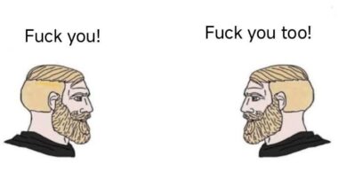 Which two European ethnicities fit this meme perfectly ?