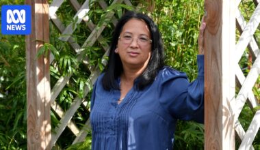 Children evacuated during Vietnam War's Operation Babylift are on a quest to find their families