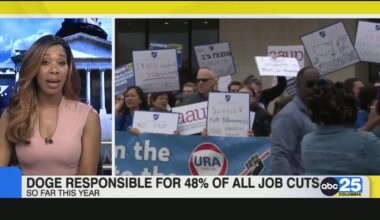 Doge responsible for 48% of all job cuts