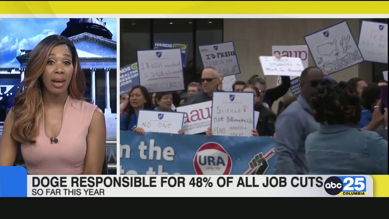 Doge responsible for 48% of all job cuts