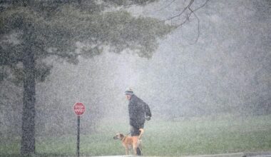 Thunderstorm brings strong winds, hail to Ottawa Friday evening