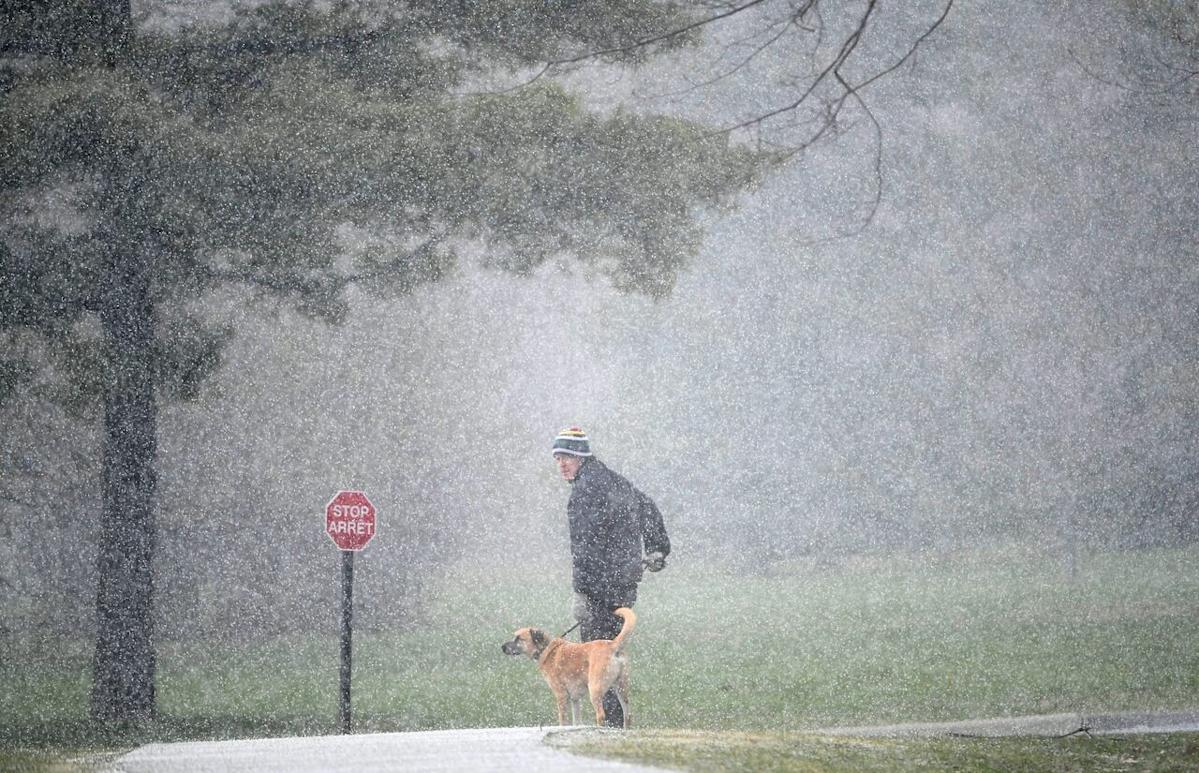 Thunderstorm brings strong winds, hail to Ottawa Friday evening