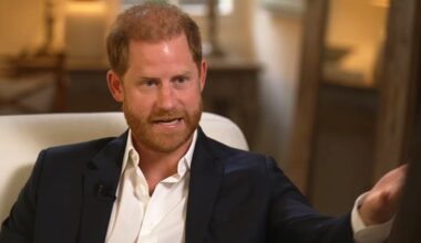 Prince Harry chillingly insinuated his downgraded security status could leave him and his family to suffer the same fate as the late Princess Diana, who died in a fatal car crash in 1997