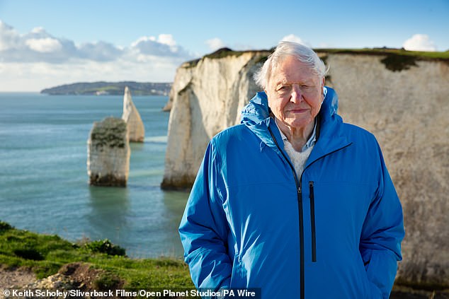 In Sir David¿s new documentary, Ocean, which airs in cinemas on Thursday ¿ his birthday ¿ he reflects on his mortality and what he has learnt from a lifetime studying the Earth, saying: ¿After living for nearly 100 years, I now understand that if we save the sea we save our world¿