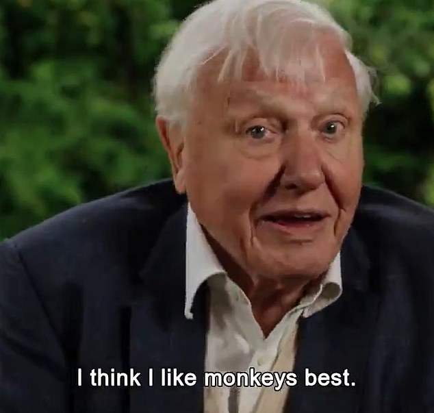 Prince George and siblings Princess Charlotte and Prince Louis put wildlife questions to Sir David in an interview filmed by their parents and released on social media - to one question about his favourite animals, Sir David replied 'I think I like monkeys best'