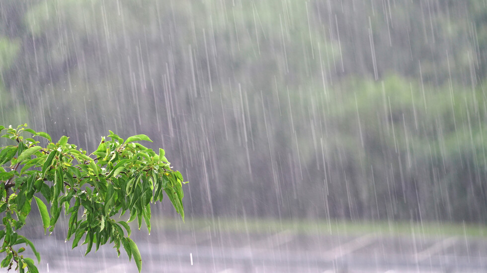 Снимка: iStock