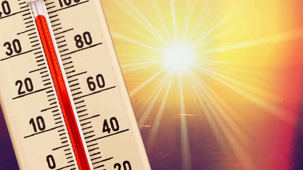 Снимка: iStock