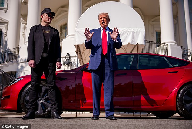 Elon Musk, the company's outspoken CEO, has aligned himself with President Donald Trump - Tesla's shoppers are historically liberal