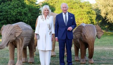 Charles and Queen Camilla are pictured attending the Elephant Family Evening of Art and Conservation at Kew Gardens on Tuesday evening
