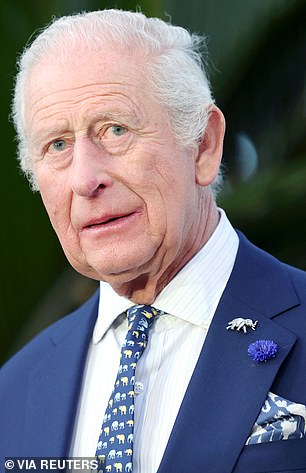 King Charles wore a blue tie featuring an elephant print design