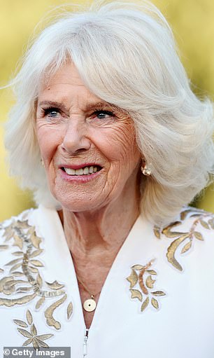 Queen Camilla's late brother Mark Shand founded Elephant Family