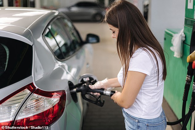 Ms Champion overheard the exchange while filling up at a local service station (stock image)