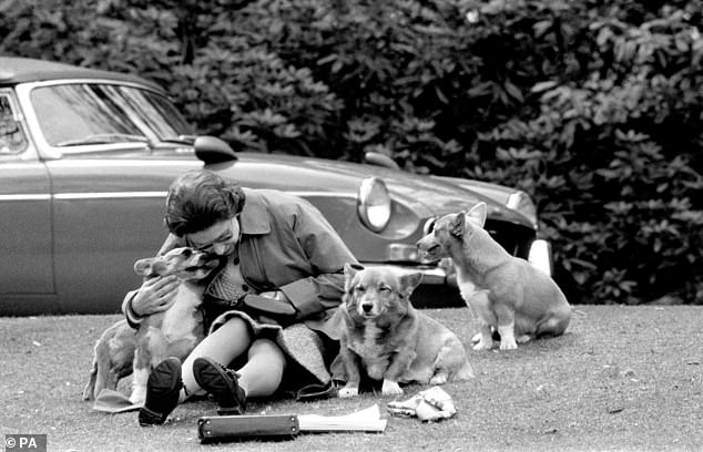 Sarah adopted the late Queen's corgis, Muick and Sandy, with ex-husband Prince Andrew
