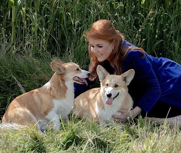 The Duchess of York recently said the late Queen Elizabeth still 'talks to her' three years after her passing - through her beloved corgis