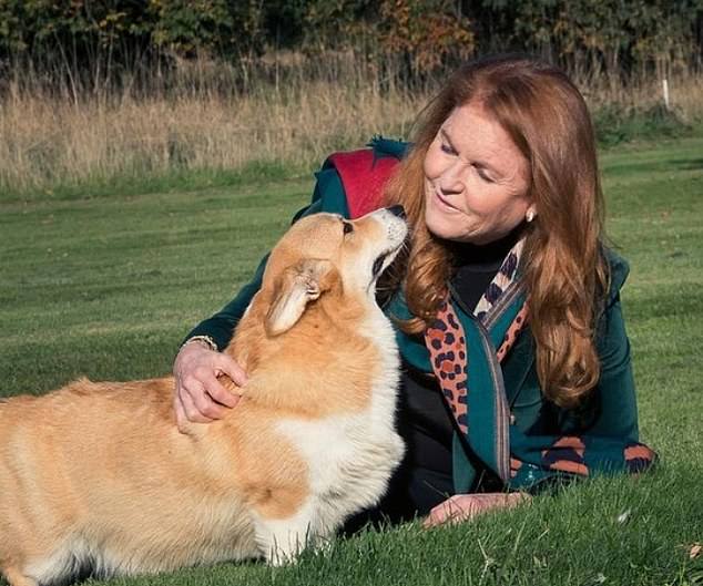 Sarah has described how one of the corgis, Muick, grieved after the late Queen's death