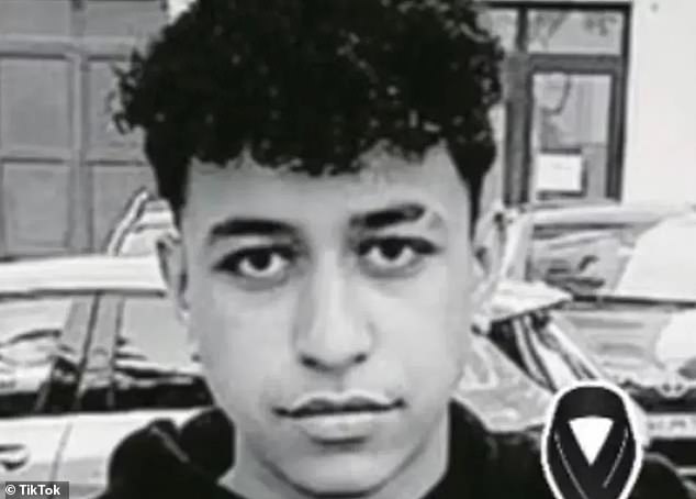 Daniel Galhanas, 19, (pictured) was killed with a broken bottle in Lisbon