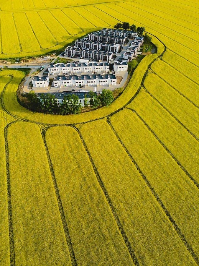 housing estate in the field Poland near Świdnica