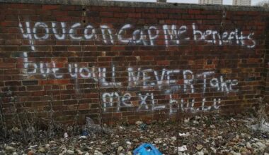 Beautiful 21st century poetry