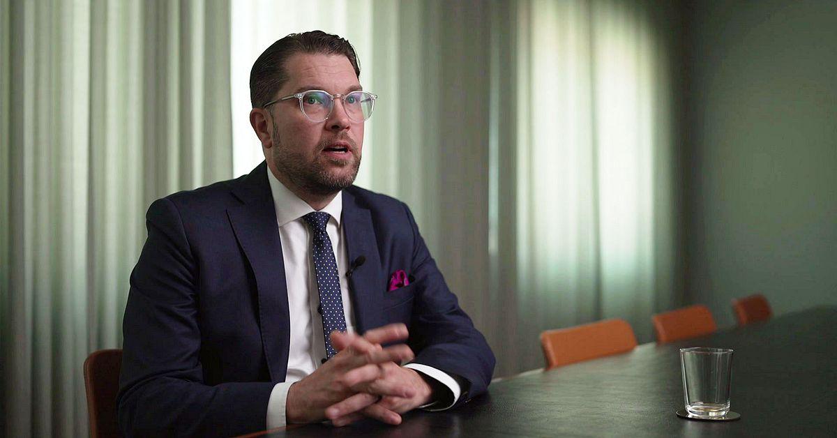 Jimmie Åkesson öppnar för ministerstyre