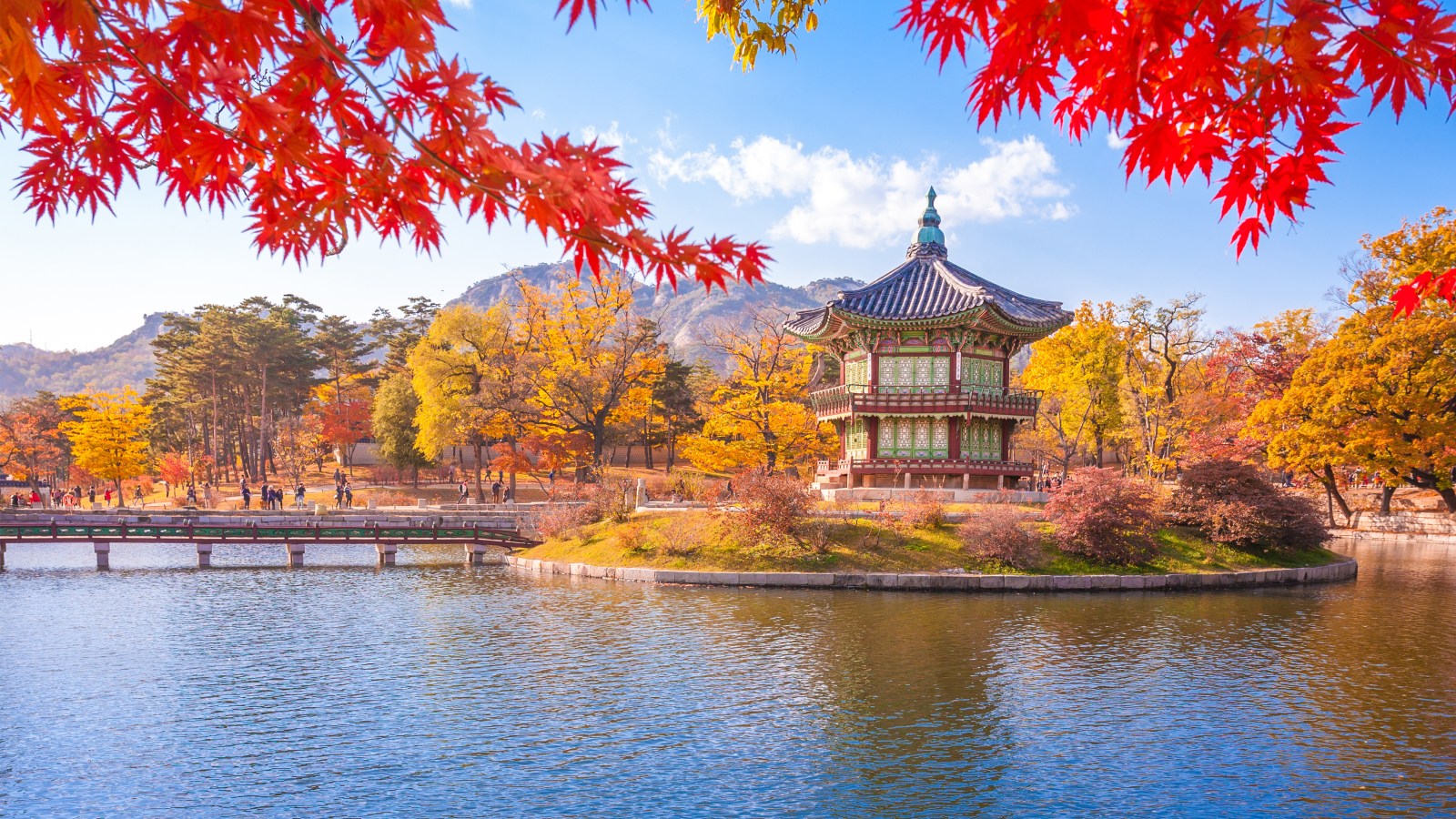 Fall in love with Seoul: Why autumn is the best time to go (and how to fly there for $999)
