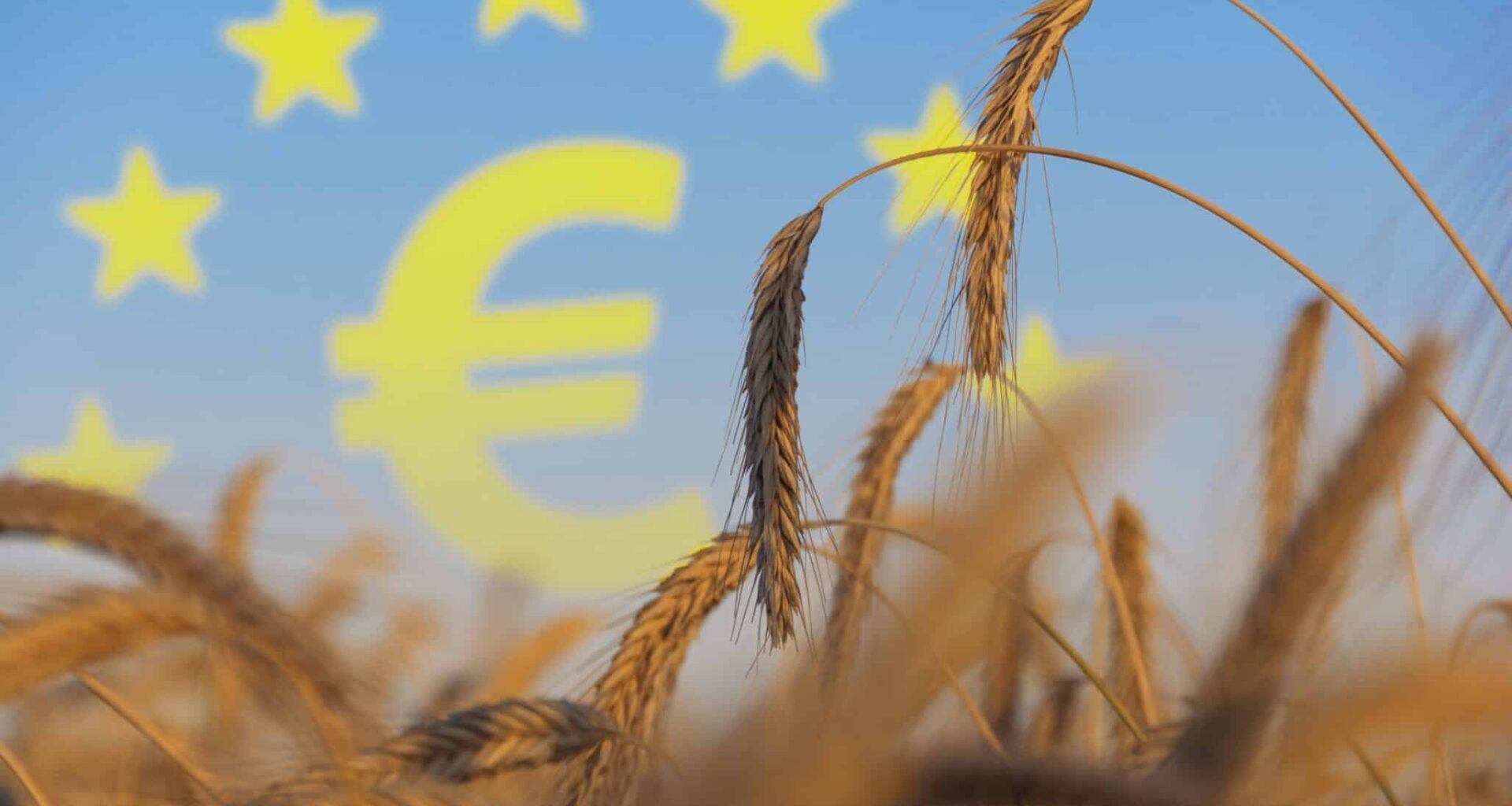 New Study: EU Can Do More to Protect Farmers from Growing Climate Risks