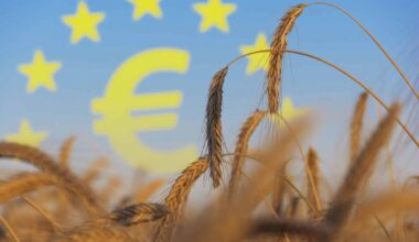 New Study: EU Can Do More to Protect Farmers from Growing Climate Risks