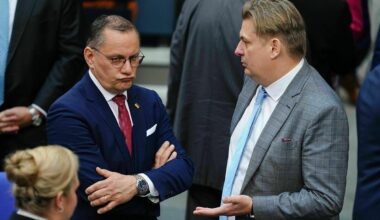 AfD verteilt Ausschüsse im Bundestag: Radikale bekommen, was sie wollen