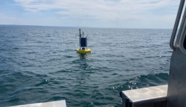 Dunkirk buoy brings science, fishing together | News, Sports, Jobs