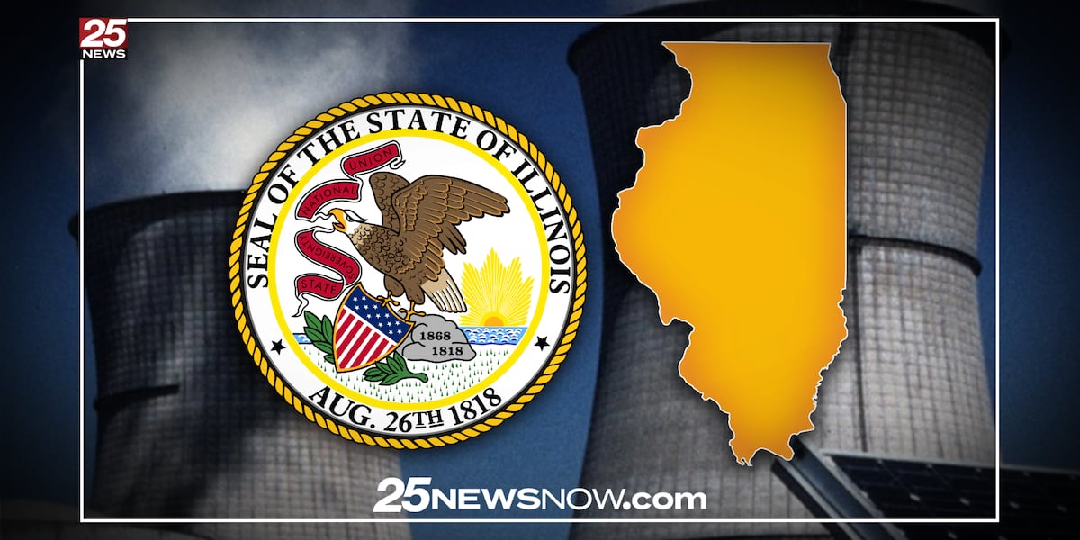 Illinois senators discuss potential increase in nuclear power capacity
