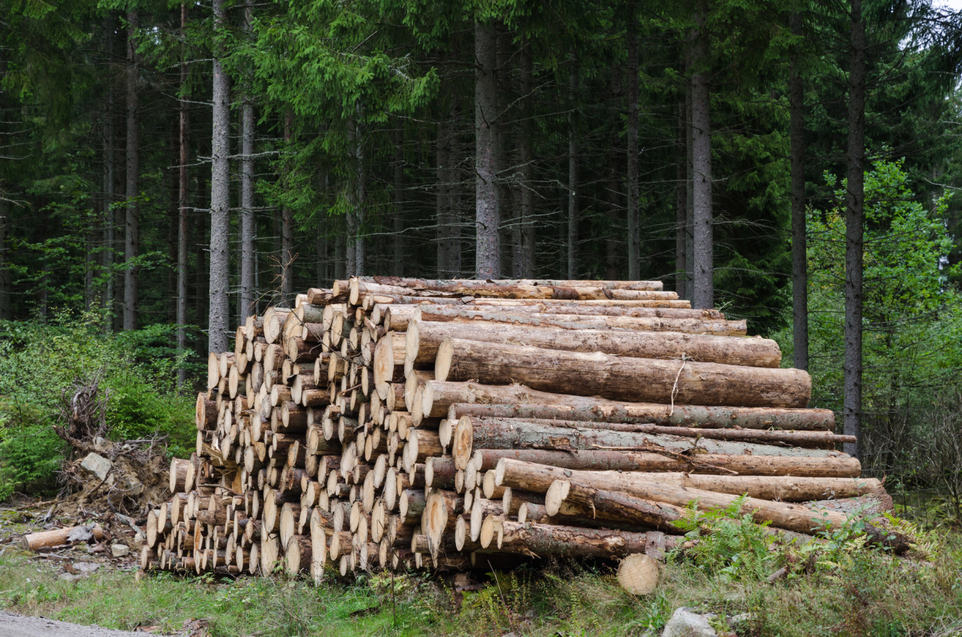 Sweden’s roundwood stocks rise 15% to 9.5 million m3 as of March 2025