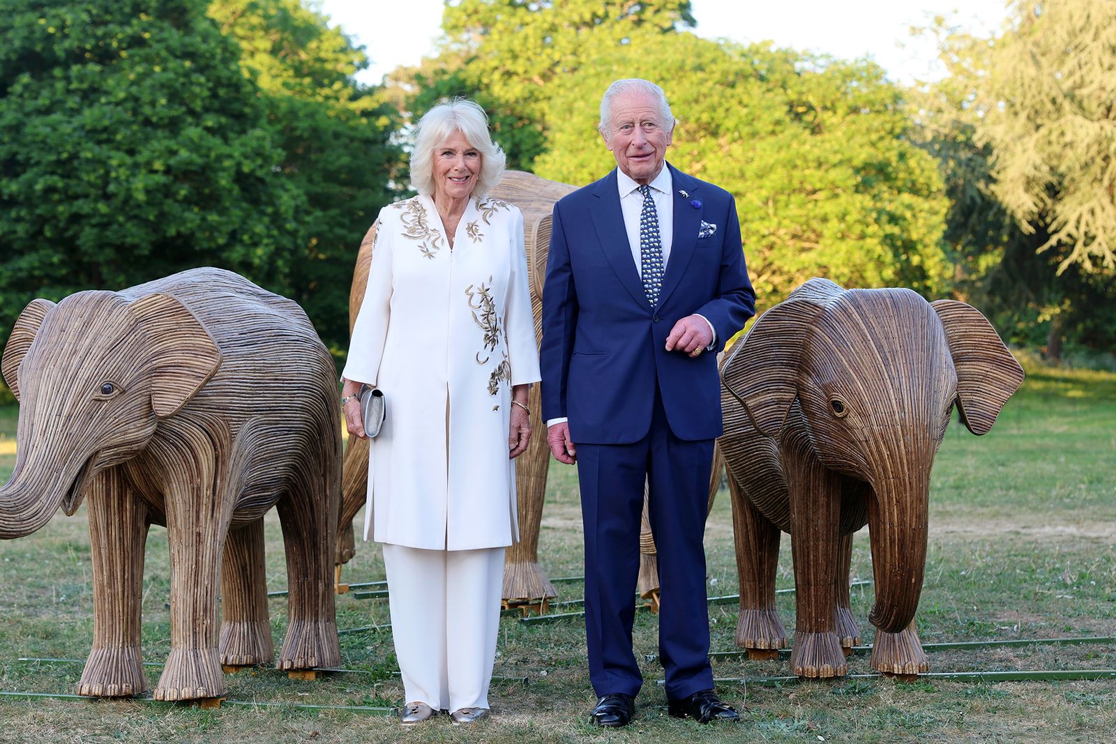 Image may contain Charles Prince of Wales Person Adult Accessories Formal Wear Tie Clothing Footwear and Shoe